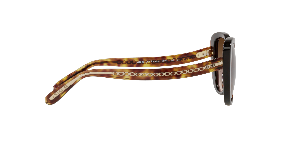 Солнцезащитные очки Coach C6183 HC8322 51203B