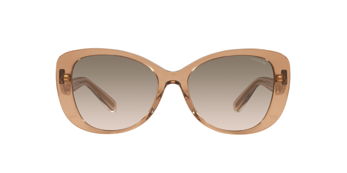 Солнцезащитные очки Coach C6183 HC8322 565413