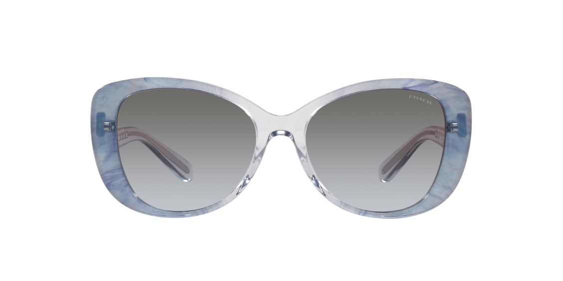 Солнцезащитные очки Coach C6183 HC8322 56553C