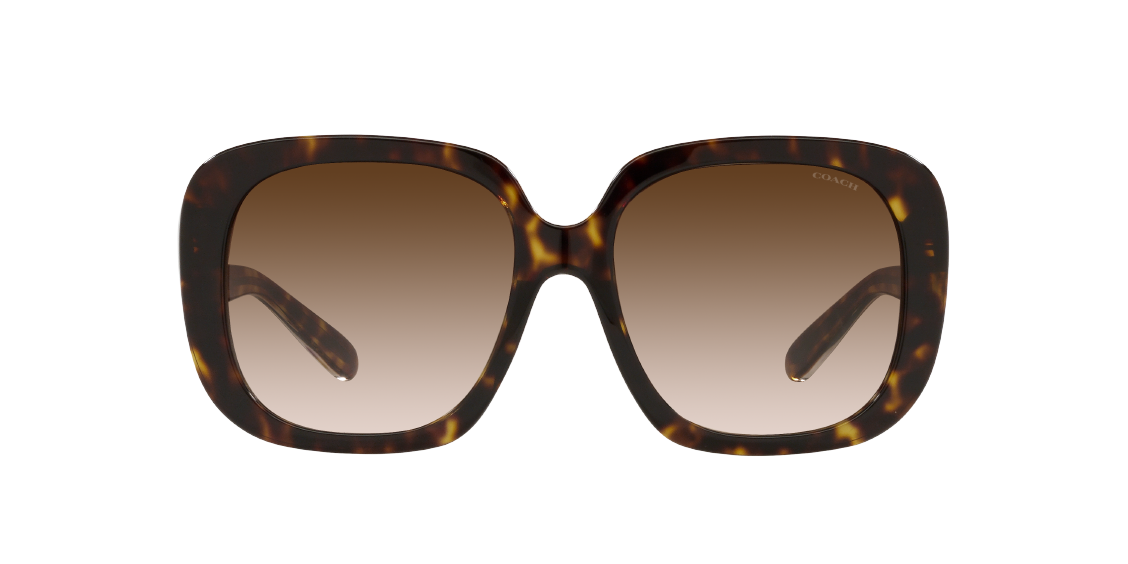 Солнцезащитные очки Coach C6185 HC8323U 51203B