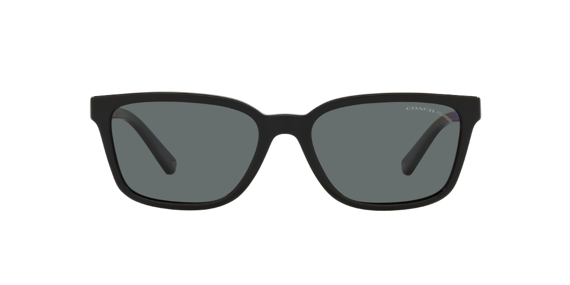 Солнцезащитные очки Coach C6196 HC8328U 500281