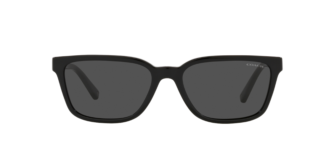 Солнцезащитные очки Coach C6196 HC8328U 500287