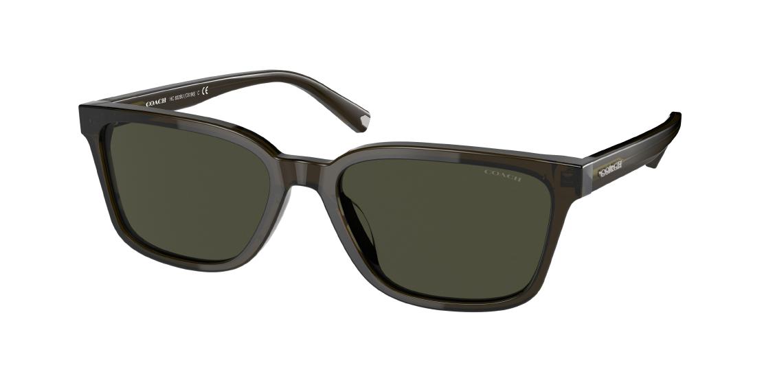 Солнцезащитные очки Coach C6196 HC8328U 520382