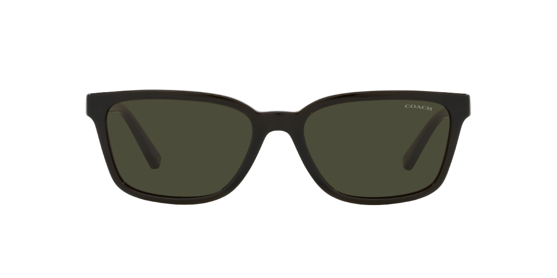 Солнцезащитные очки Coach C6196 HC8328U 520382