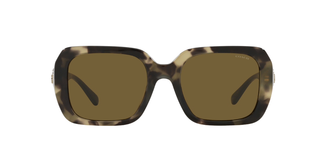 Солнцезащитные очки Coach C6188 HC8329U 559273