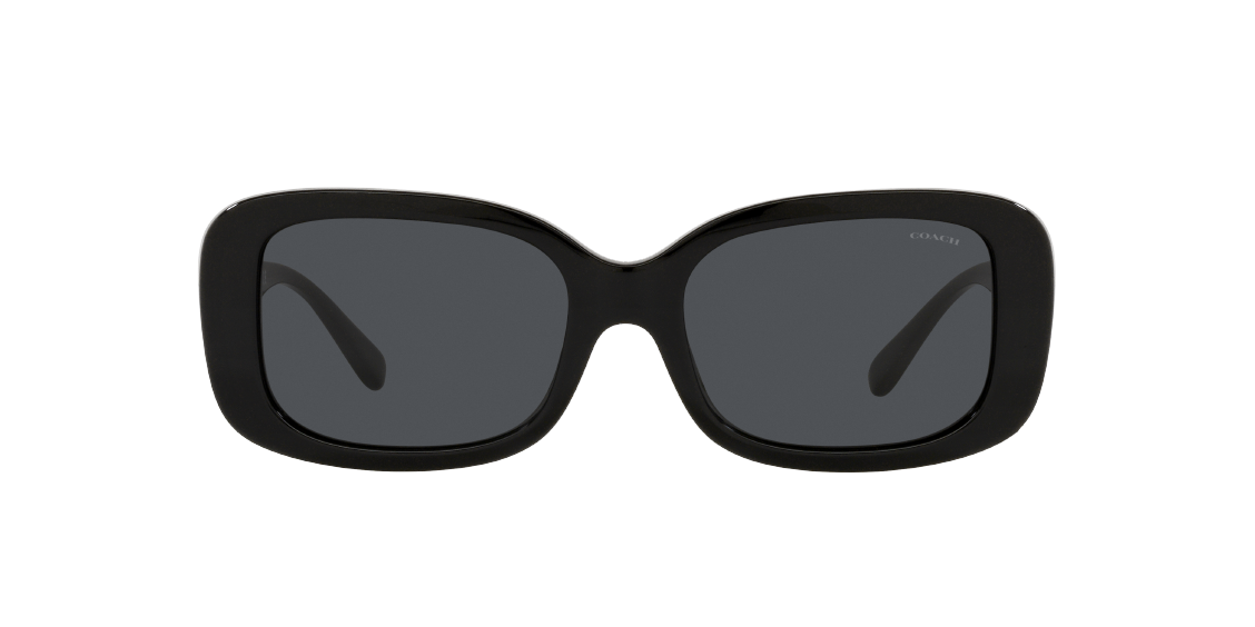 Солнцезащитные очки Coach C6186 HC8330 500287