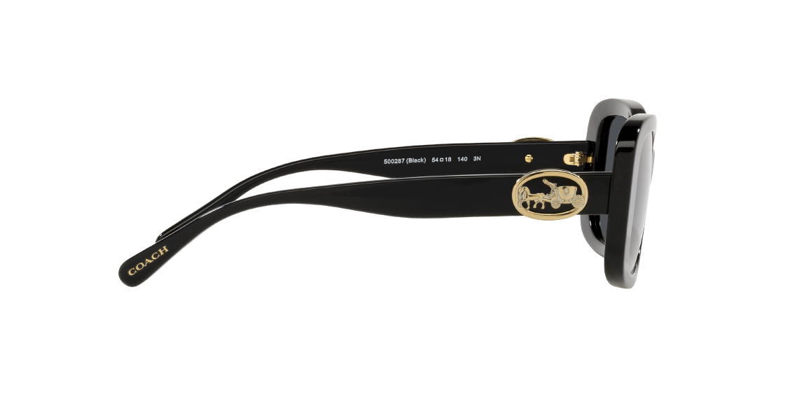 Солнцезащитные очки Coach C6186 HC8330 500287
