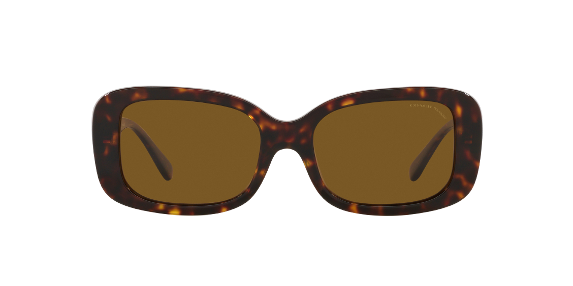 Солнцезащитные очки Coach C6186 HC8330 512083