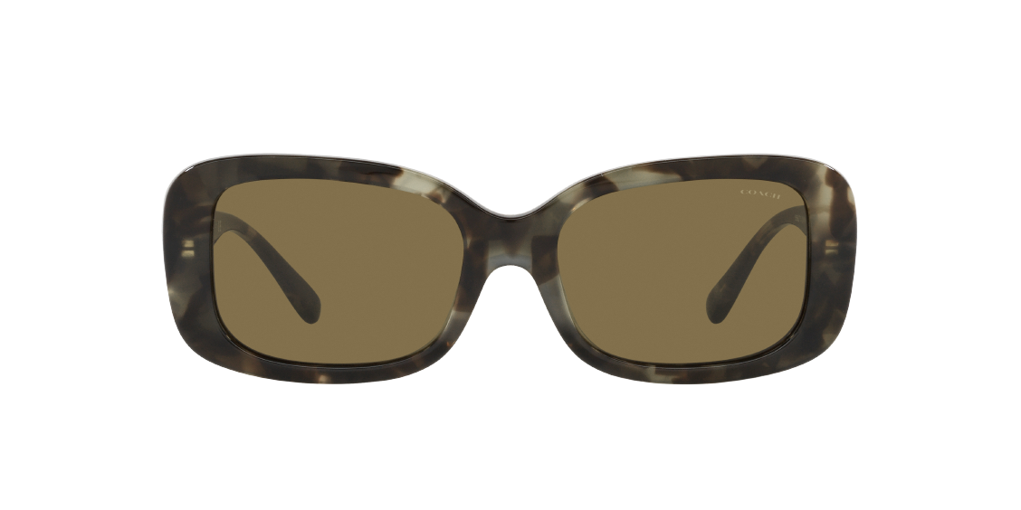 Солнцезащитные очки Coach C6186 HC8330 559273