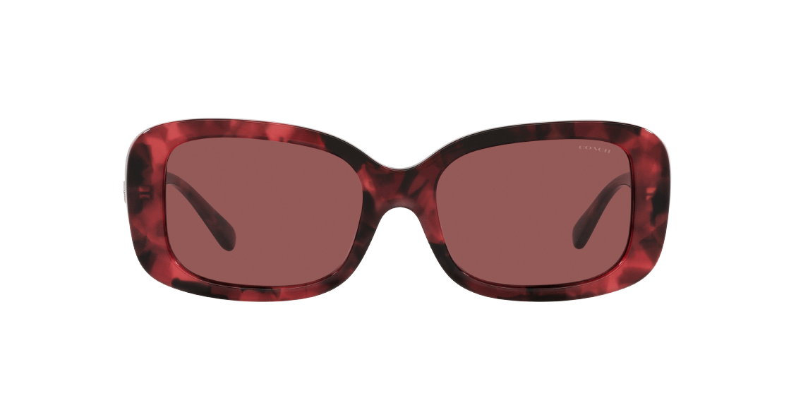 Солнцезащитные очки Coach C6186 HC8330 565869