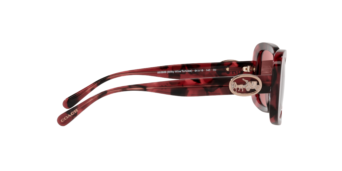 Солнцезащитные очки Coach C6186 HC8330 565869
