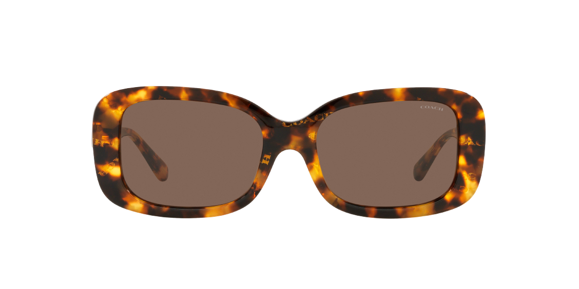 Солнцезащитные очки Coach C6186 HC8330 565973