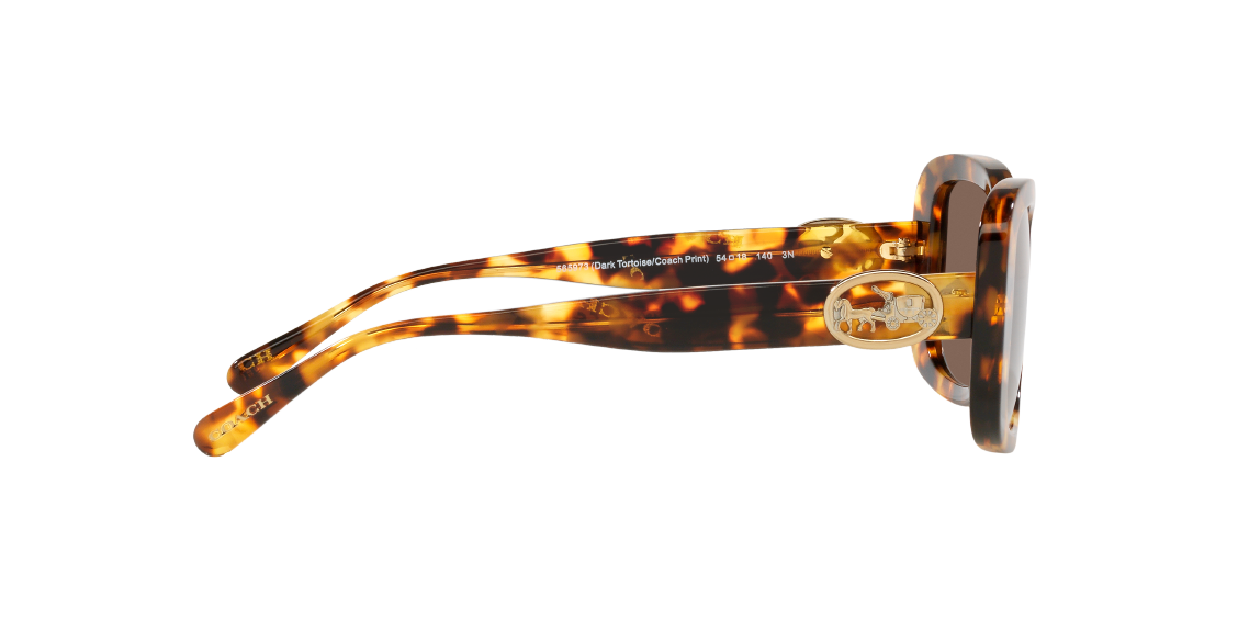 Солнцезащитные очки Coach C6186 HC8330 565973