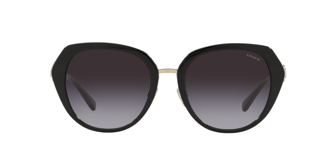 Солнцезащитные очки Coach C6189 HC8331 50028G