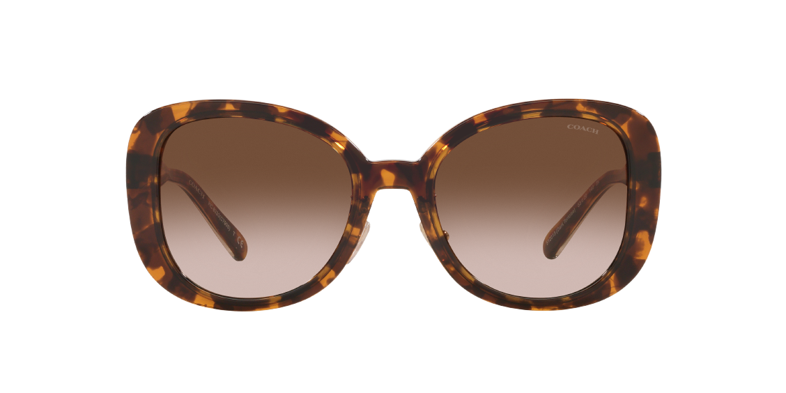 Солнцезащитные очки Coach C7995 HC8333 512013