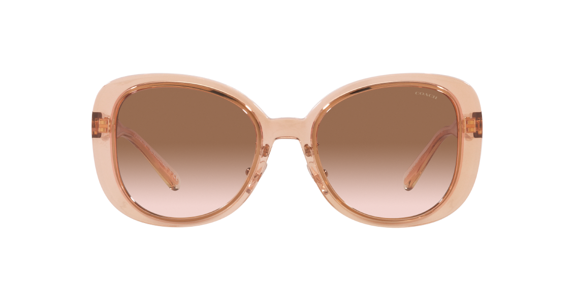 Солнцезащитные очки Coach C7995 HC8333 568013