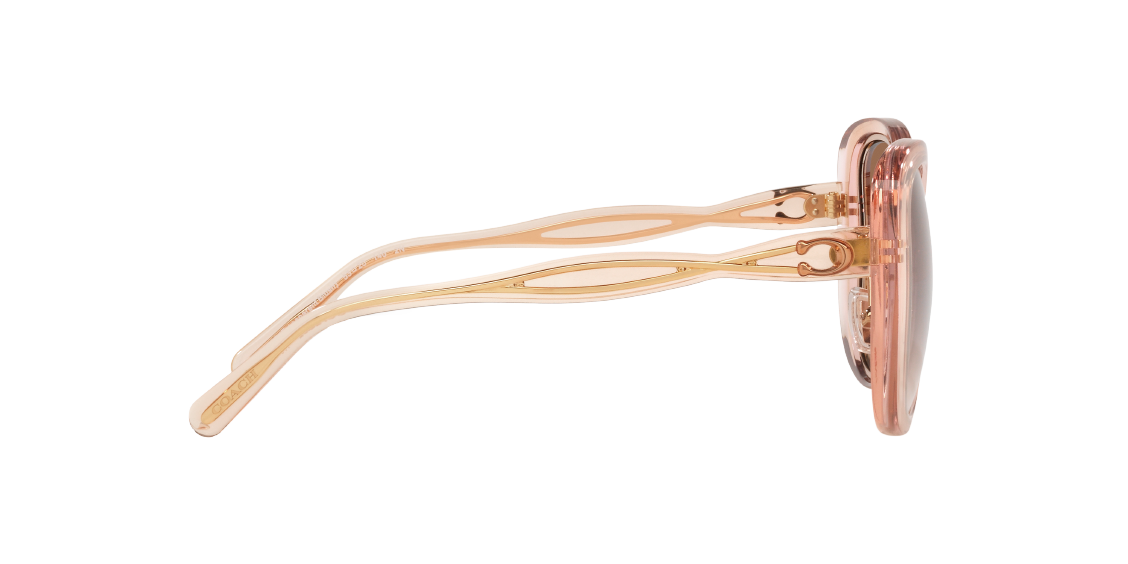 Солнцезащитные очки Coach C7995 HC8333 568013