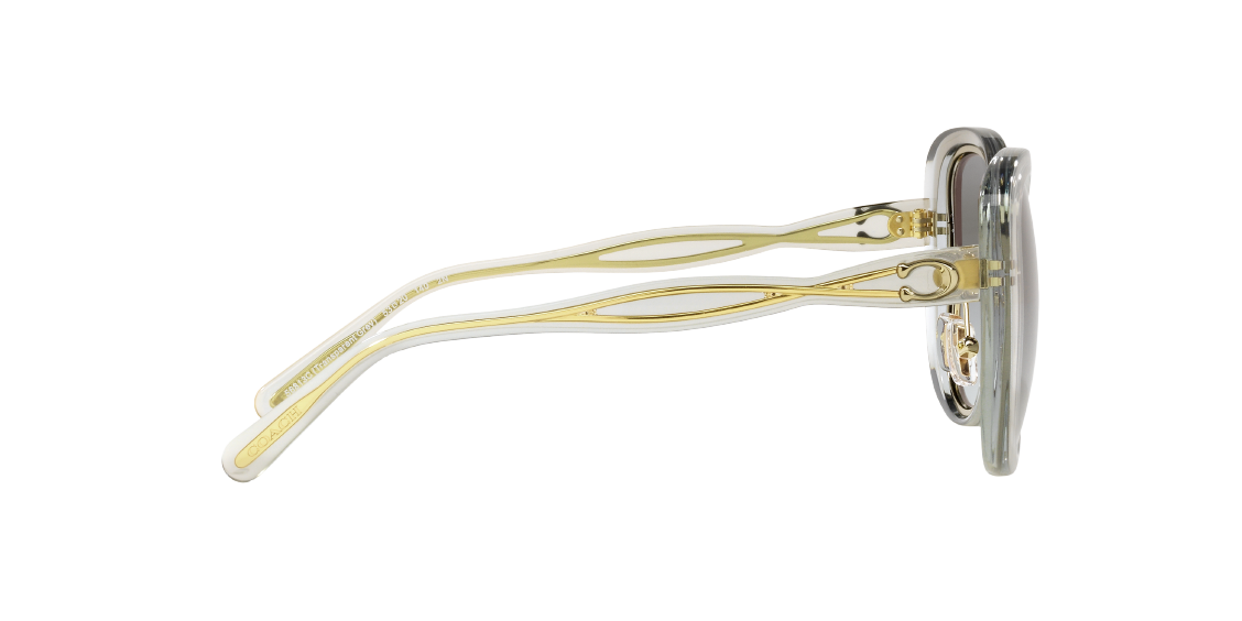 Солнцезащитные очки Coach C7995 HC8333 56813C