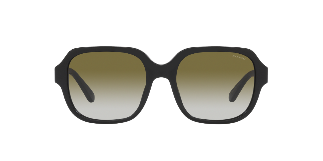 Солнцезащитные очки Coach C7989 HC8335U 50027Z