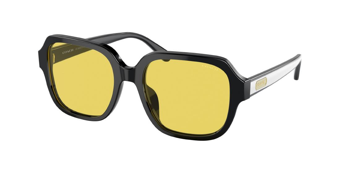 Солнцезащитные очки Coach C7989 HC8335U 500285