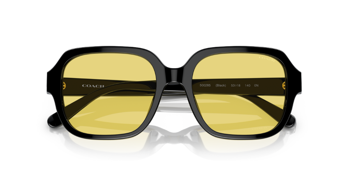 Солнцезащитные очки Coach C7989 HC8335U 500285