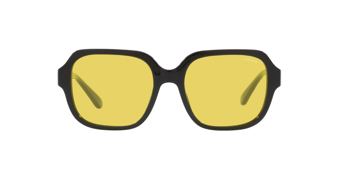 Солнцезащитные очки Coach C7989 HC8335U 500285