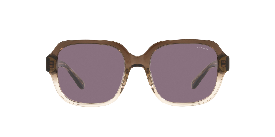 Солнцезащитные очки Coach C7989 HC8335U 56781A