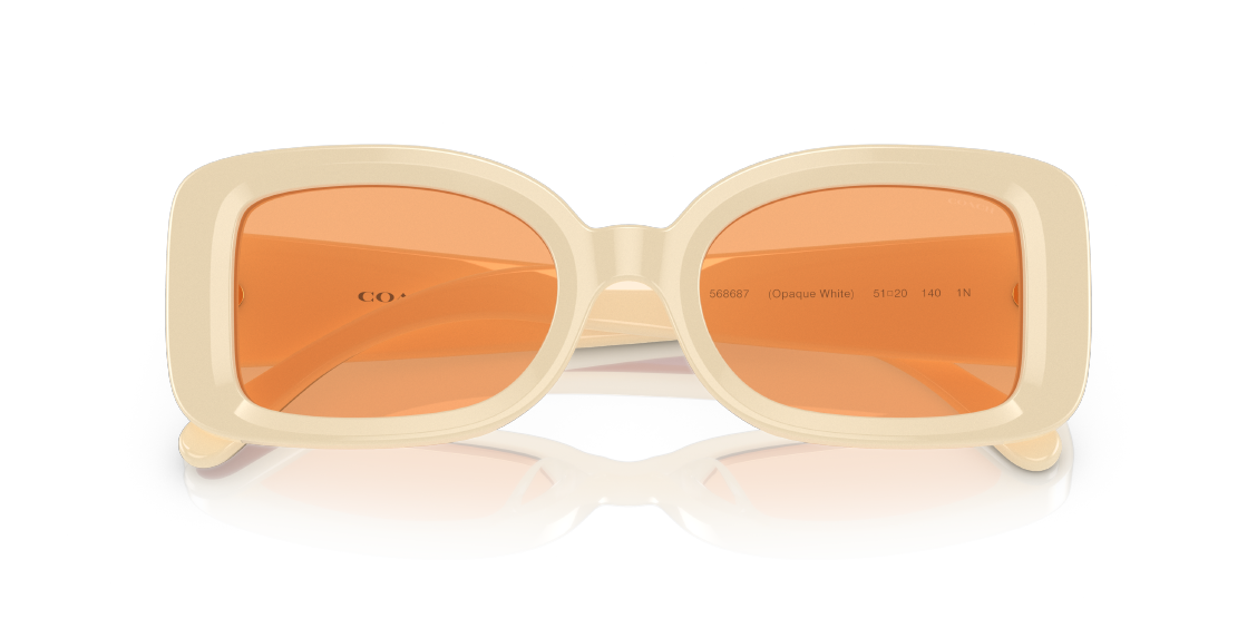 Солнцезащитные очки Coach C7988 HC8336U 568687