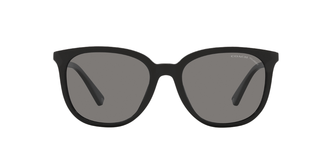 Солнцезащитные очки Coach C8006 HC8338U 500281