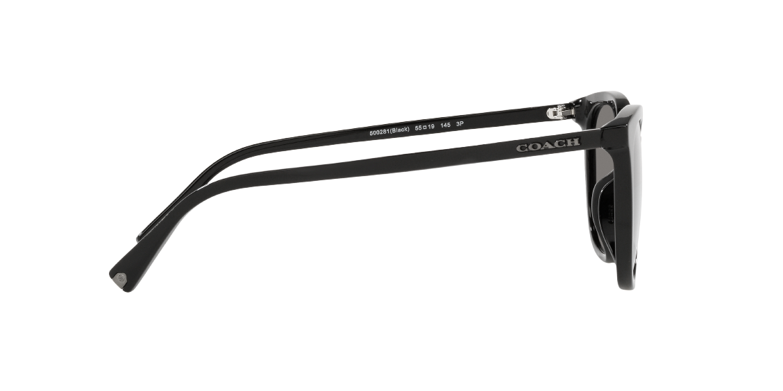 Солнцезащитные очки Coach C8006 HC8338U 500281