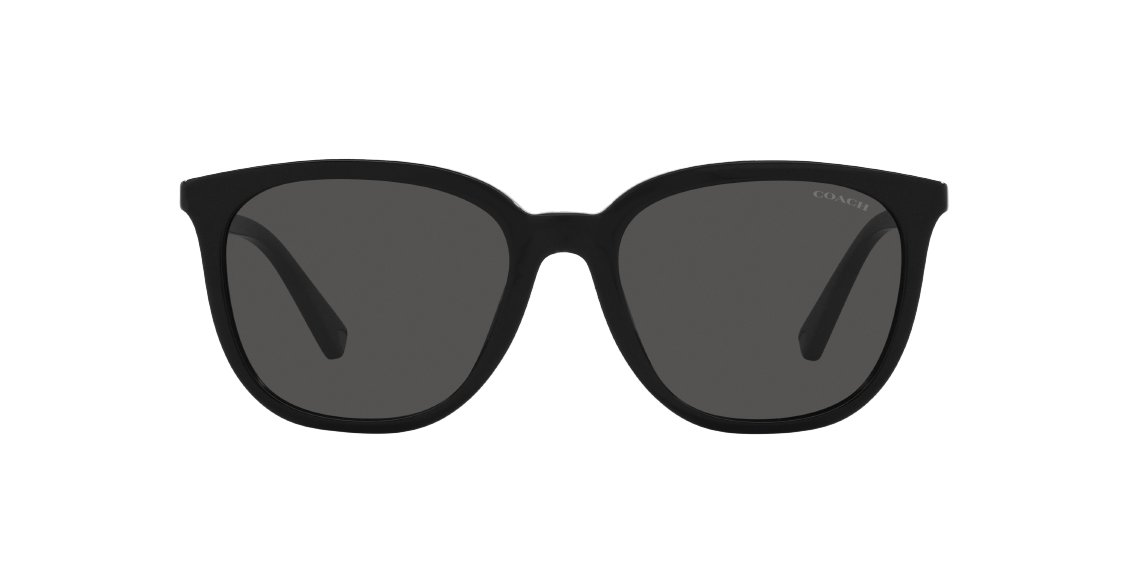 Солнцезащитные очки Coach C8006 HC8338U 500287