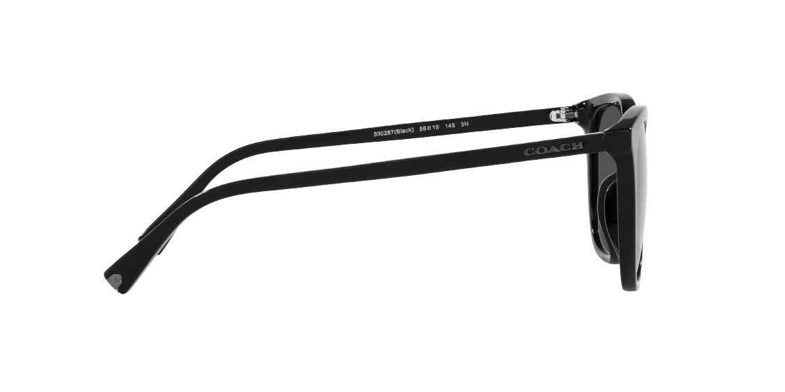 Солнцезащитные очки Coach C8006 HC8338U 500287