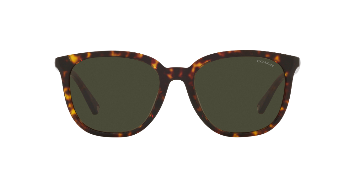 Солнцезащитные очки Coach C8006 HC8338U 512082