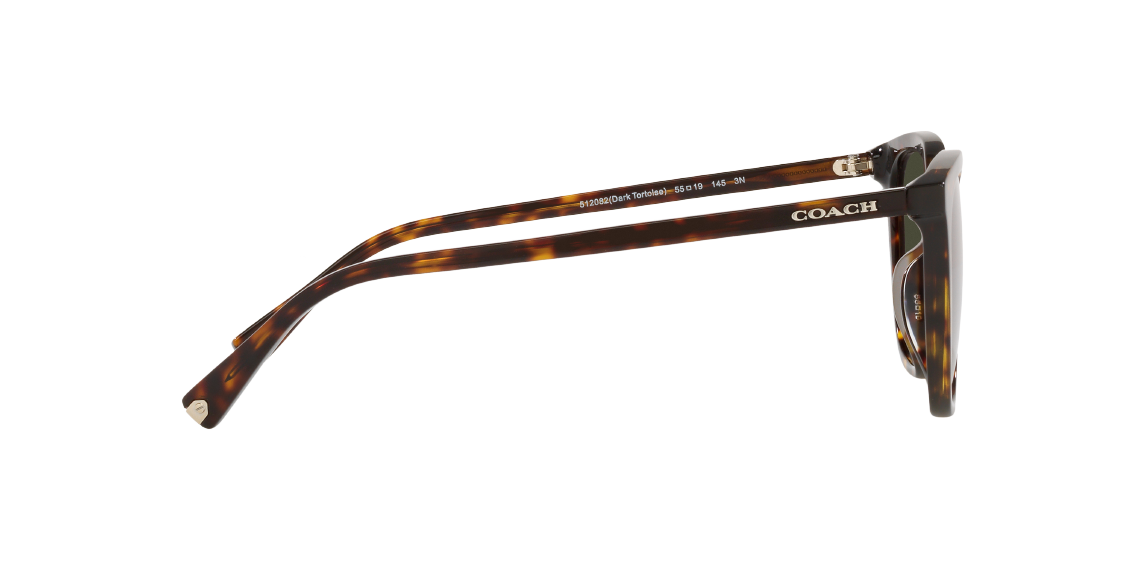 Солнцезащитные очки Coach C8006 HC8338U 512082