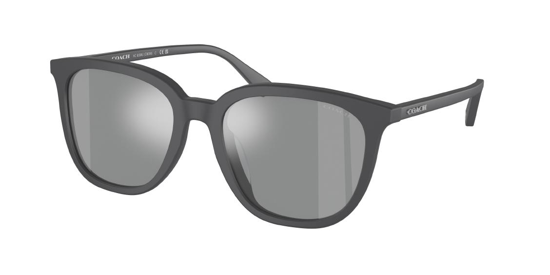 Солнцезащитные очки Coach C8006 HC8338U 58034D