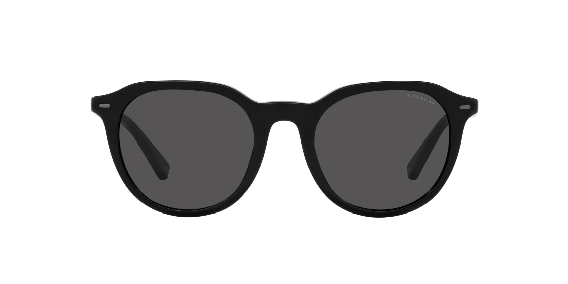 Солнцезащитные очки Coach C8007 HC8339U 500287