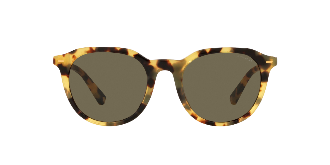 Солнцезащитные очки Coach C8007 HC8339U 51713