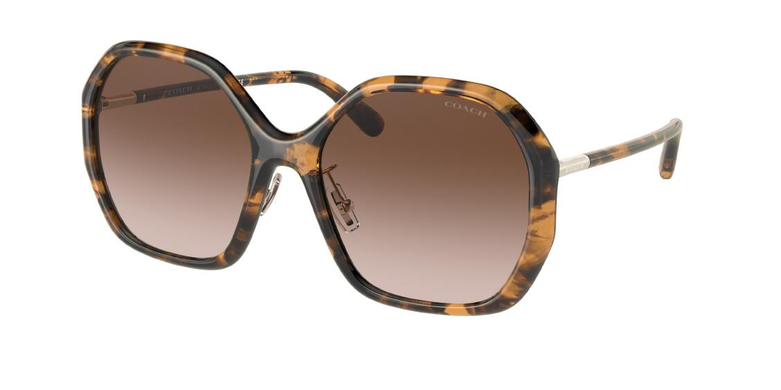 Солнцезащитные очки Coach C9204 HC8343 512013