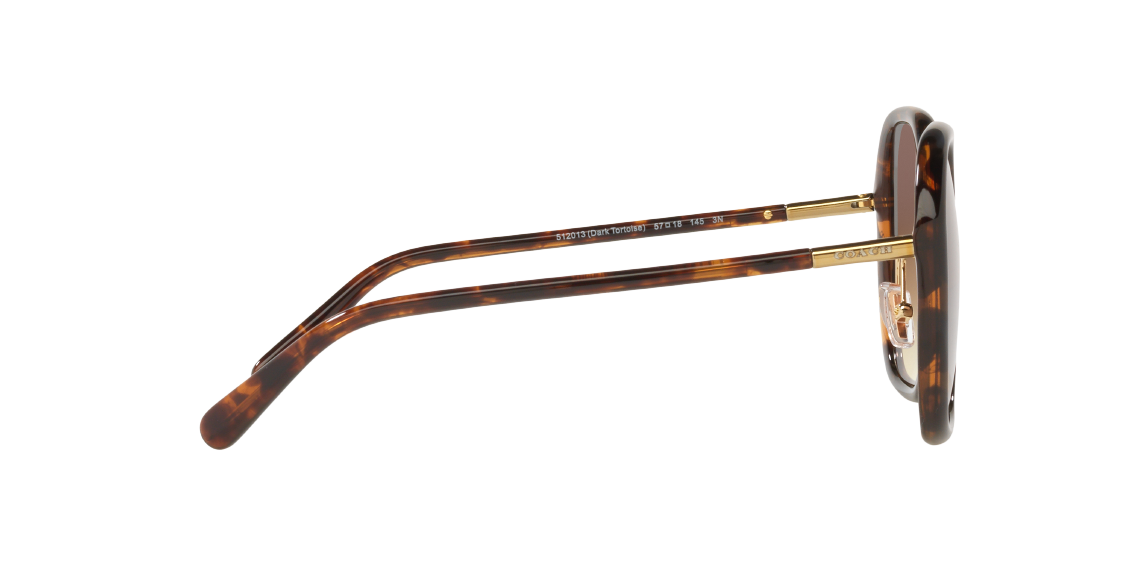 Солнцезащитные очки Coach C9204 HC8343 512013