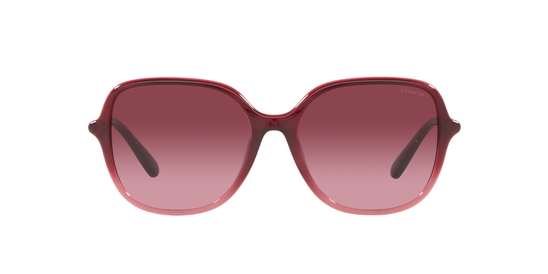 Солнцезащитные очки Coach C9205 HC8344U 55518H