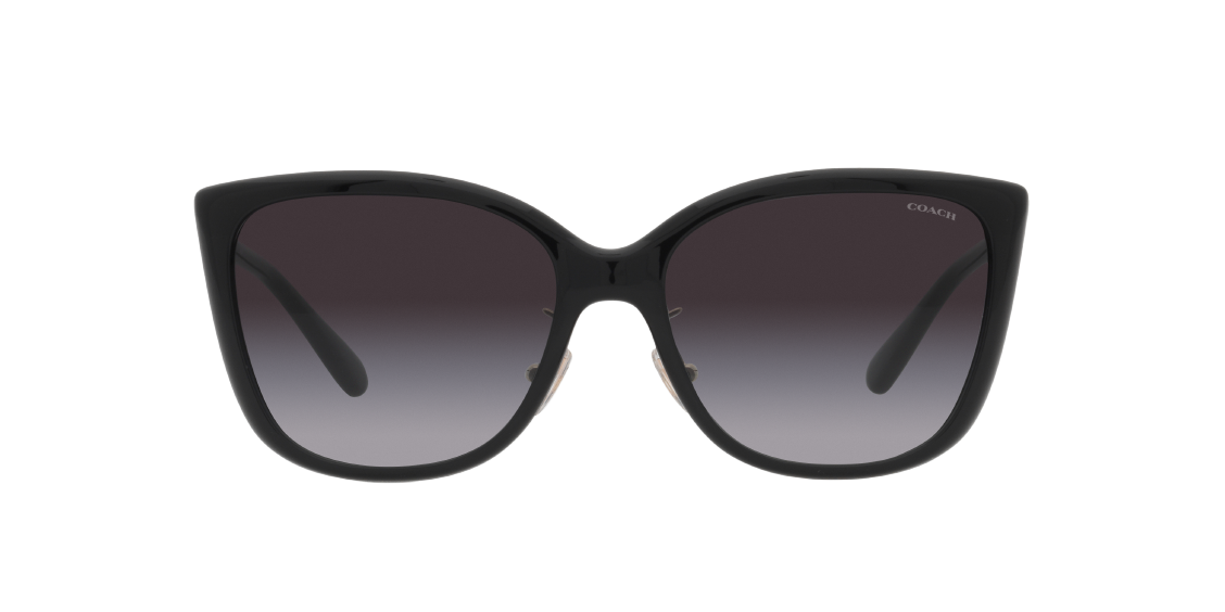 Солнцезащитные очки Coach C9206 HC8345 50028G