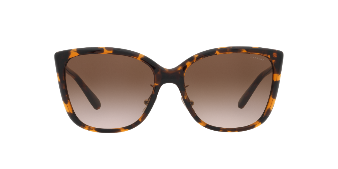 Солнцезащитные очки Coach C9206 HC8345 512013