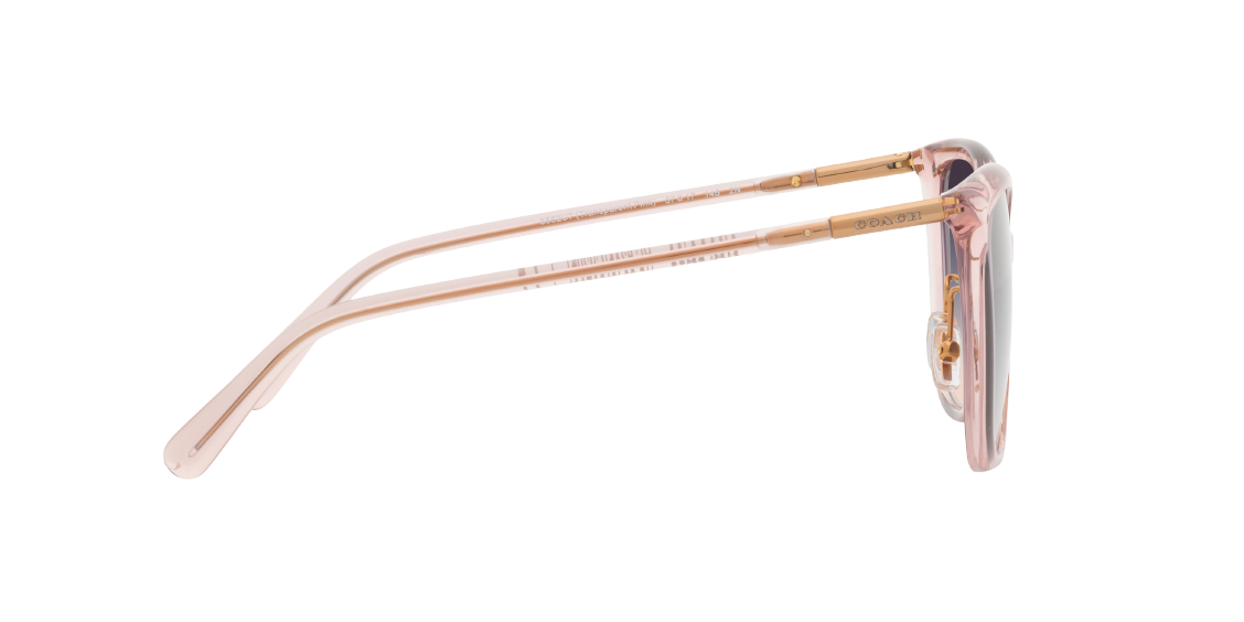 Солнцезащитные очки Coach C9206 HC8345 5552U7