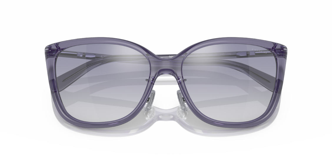 Солнцезащитные очки Coach C9206 HC8345 56657B