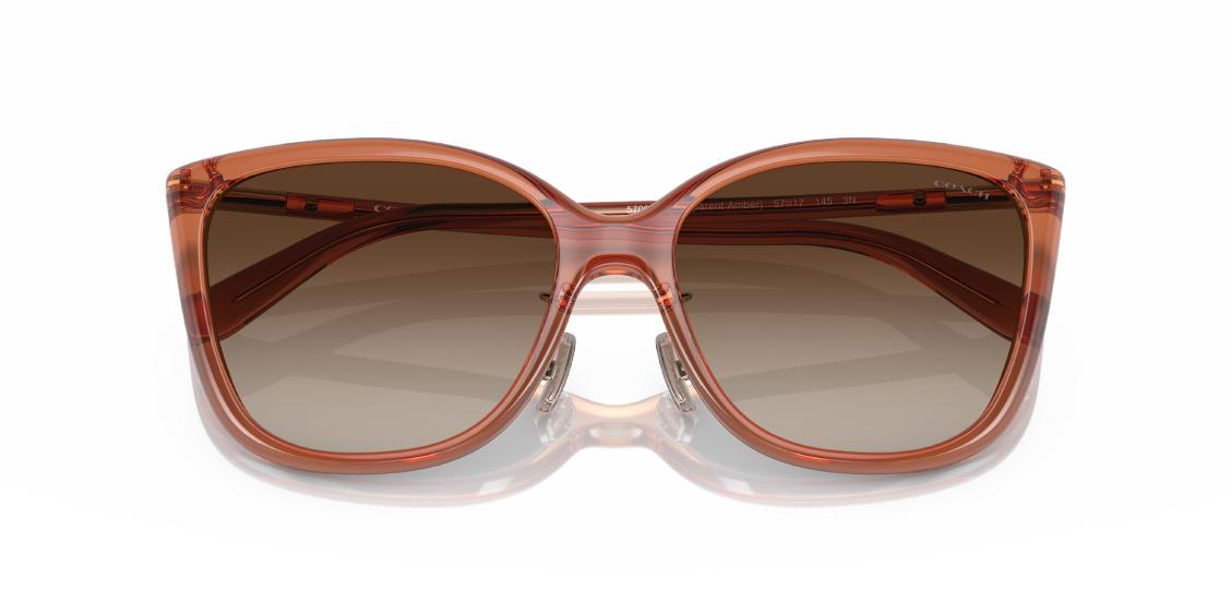 Солнцезащитные очки Coach C9206 HC8345 570013