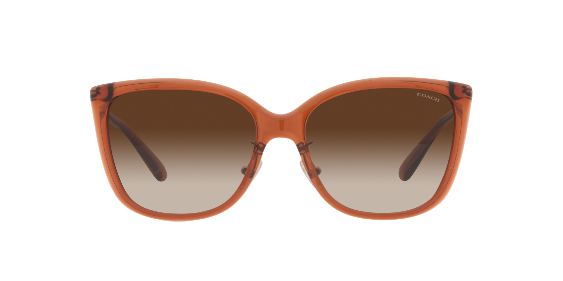 Солнцезащитные очки Coach C9206 HC8345 570013