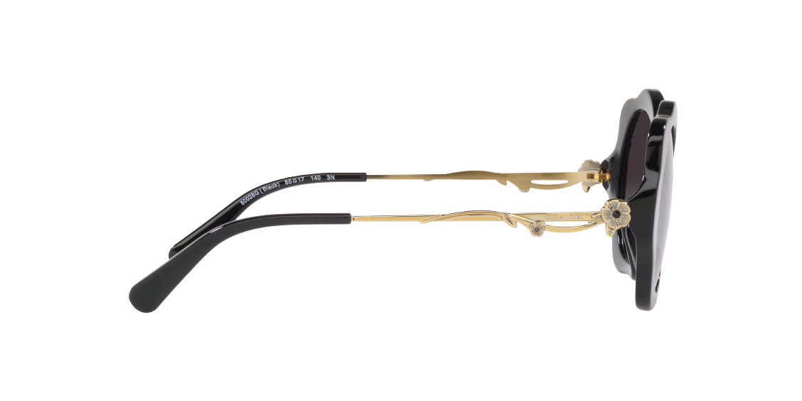 Солнцезащитные очки Coach C9200 HC8346BU 50028G