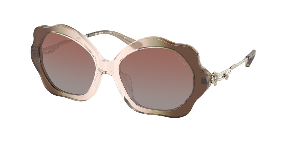 Солнцезащитные очки Coach C9200 HC8346BU 54008D