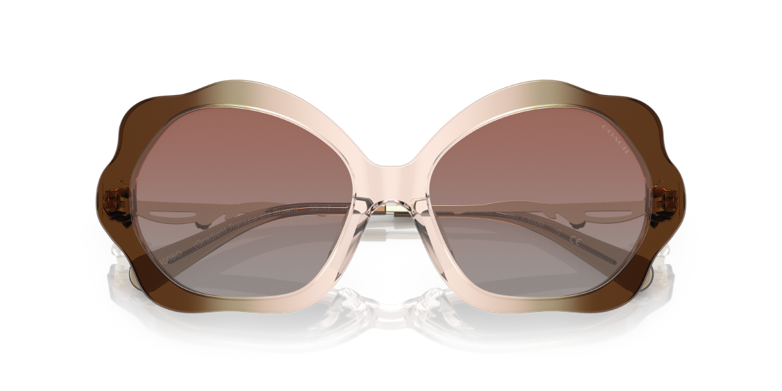 Солнцезащитные очки Coach C9200 HC8346BU 54008D