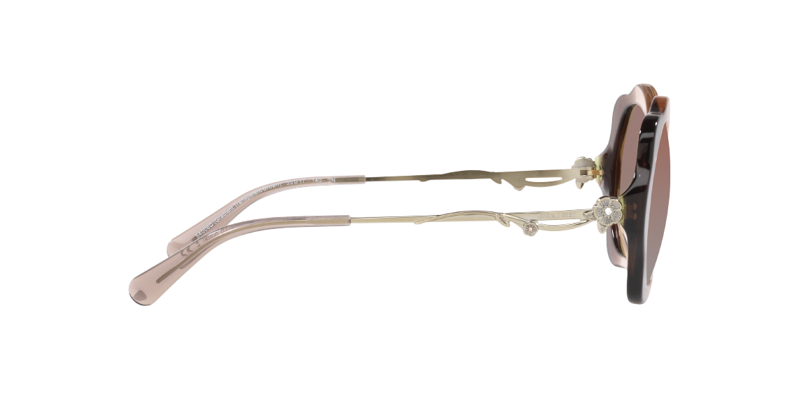 Солнцезащитные очки Coach C9200 HC8346BU 54008D